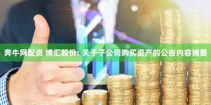 奔牛网配资 博汇股份: 关于子公司购买资产的公告内容摘要