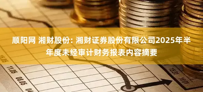 顺阳网 湘财股份: 湘财证券股份有限公司2025年半年度未经审计财务报表内容摘要
