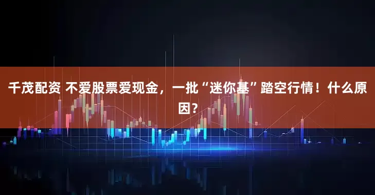 千茂配资 不爱股票爱现金，一批“迷你基”踏空行情！什么原因？