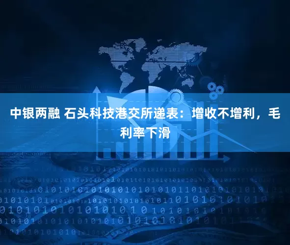 中银两融 石头科技港交所递表：增收不增利，毛利率下滑