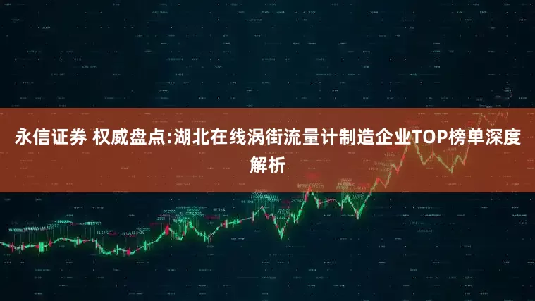 永信证券 权威盘点:湖北在线涡街流量计制造企业TOP榜单深度解析